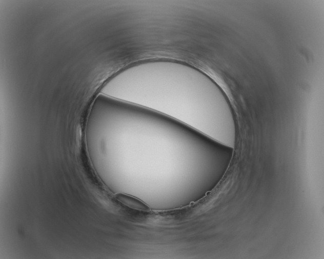 X0000115600109200911101000