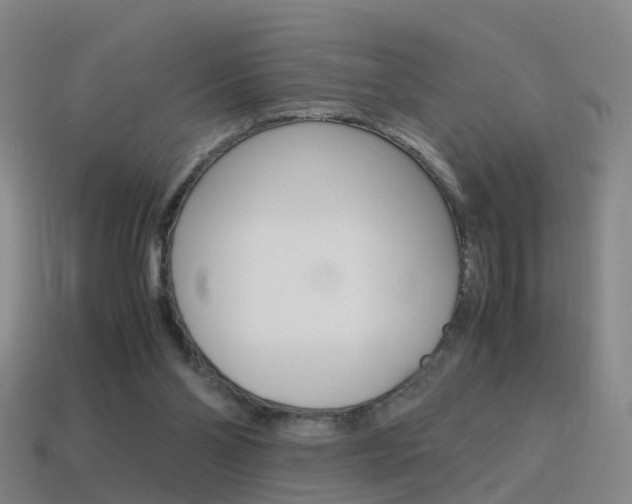 X0000115600110200911101000