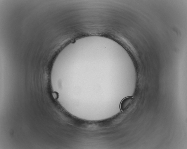 X0000115600113200911101000