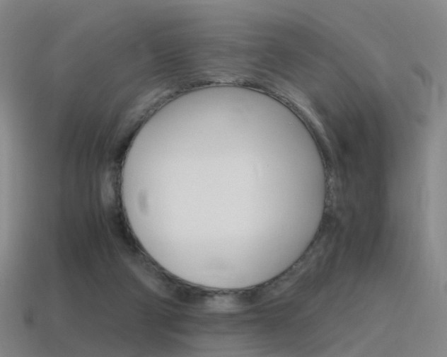 X0000115600114200911101000