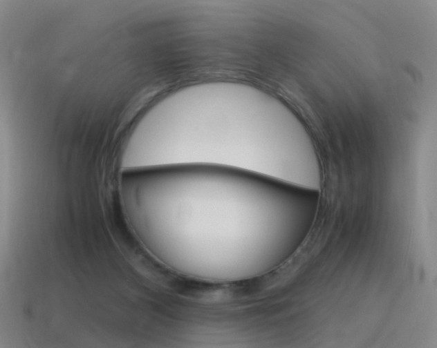 X0000115600116200911101000