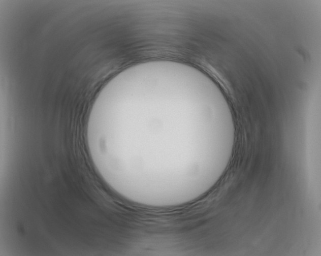 X0000115600117200911101000