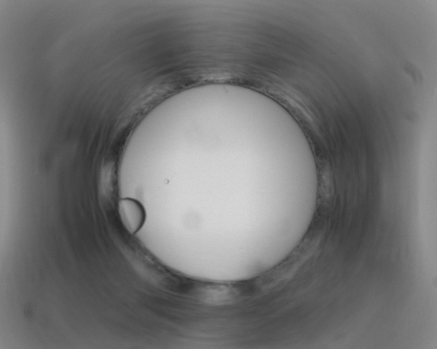 X0000115600118200911101000