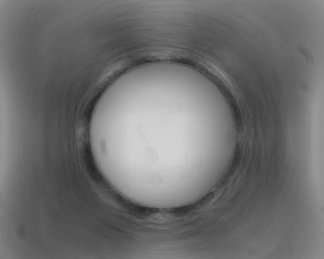 X0000115600119200911101000