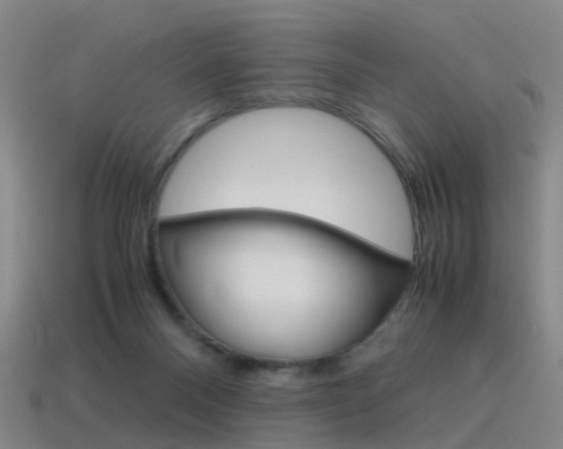 X0000115600120200911101000