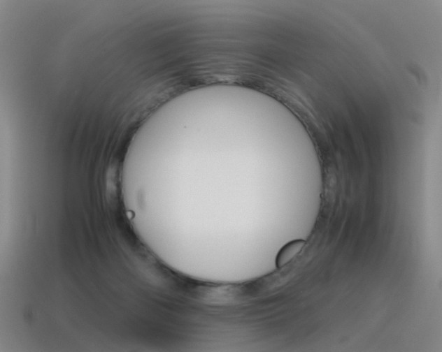 X0000115600122200911101000