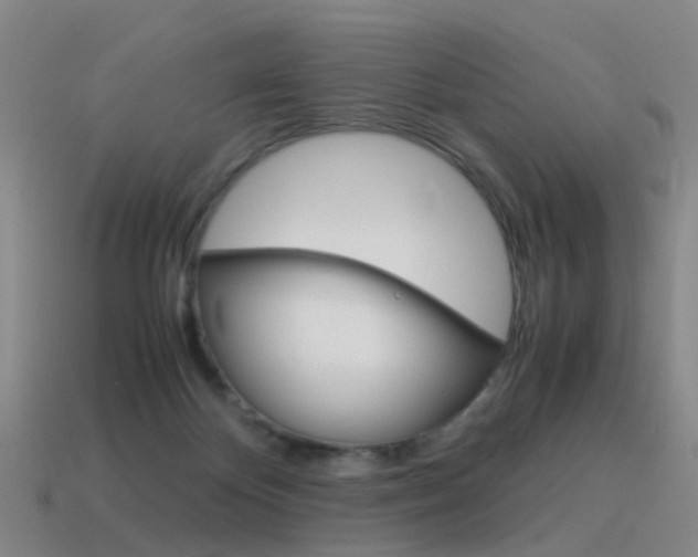 X0000115600124200911101000