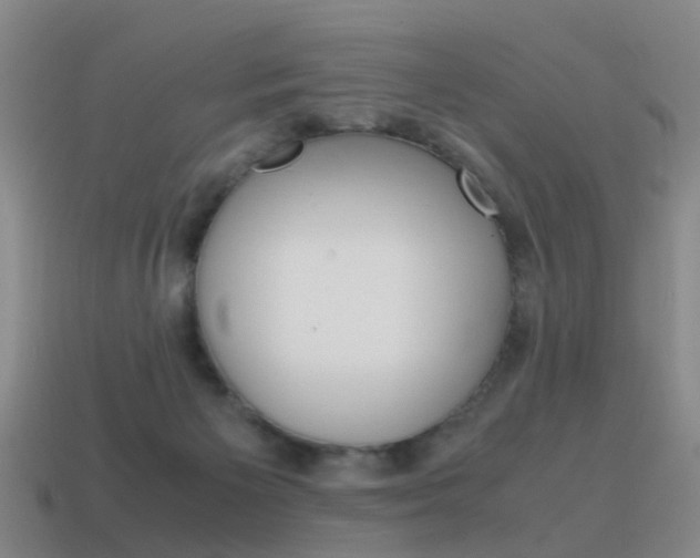 X0000115600125200911101000