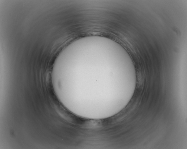 X0000115600126200911101000