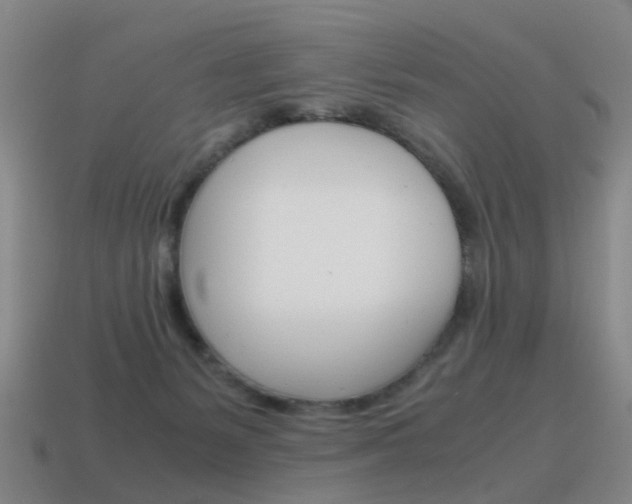 X0000115600127200911101000