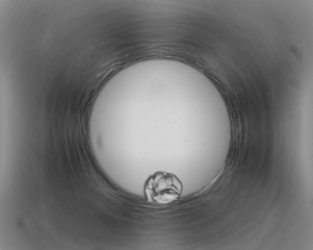 X0000115600128200911101000