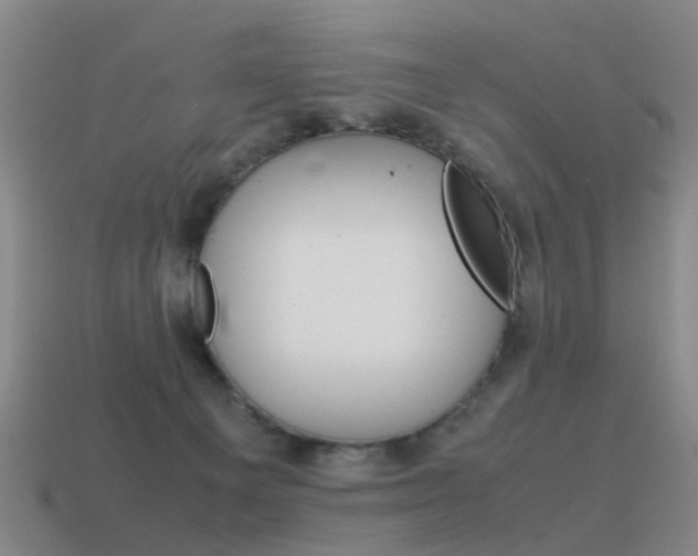 X0000115600129200911101000