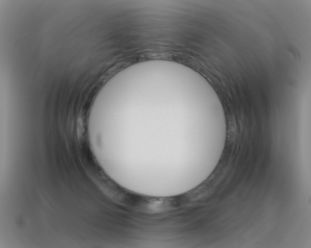 X0000115600130200911101000