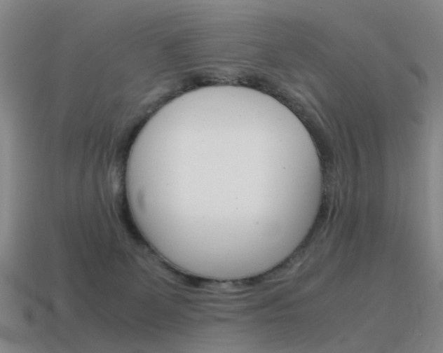 X0000115600131200911101000