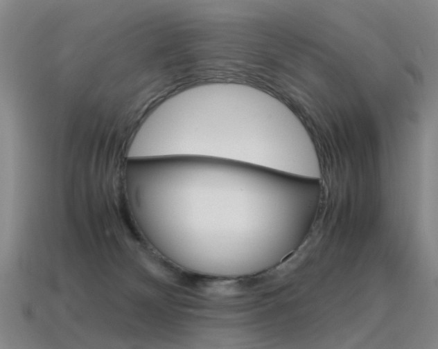 X0000115600132200911101000