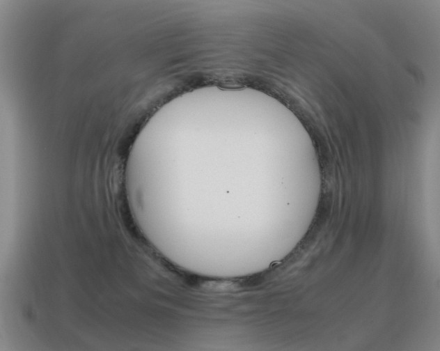 X0000115600133200911101000