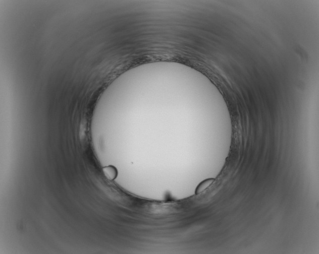 X0000115600134200911101000