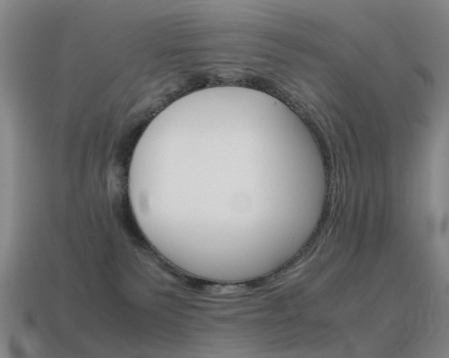 X0000115600135200911101000