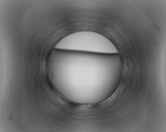 X0000115600136200911101000