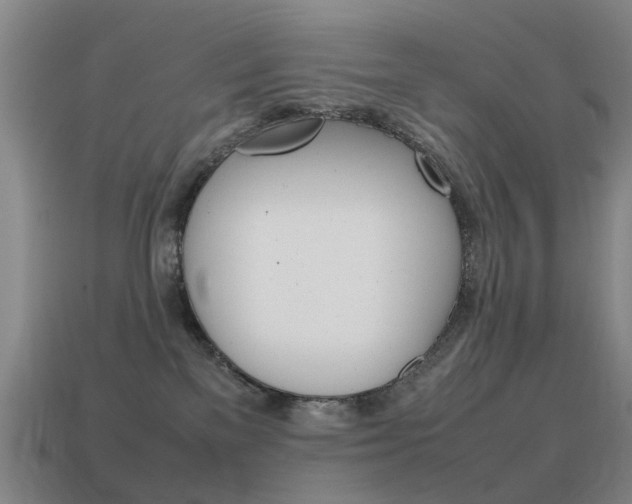 X0000115600137200911101000