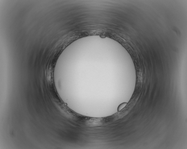 X0000115600138200911101000
