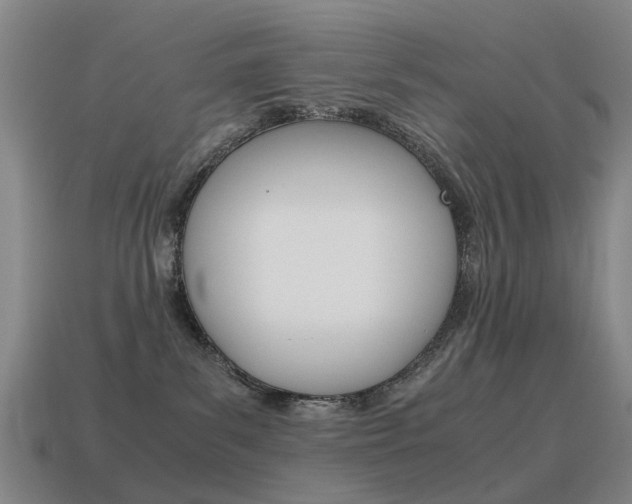 X0000115600139200911101000