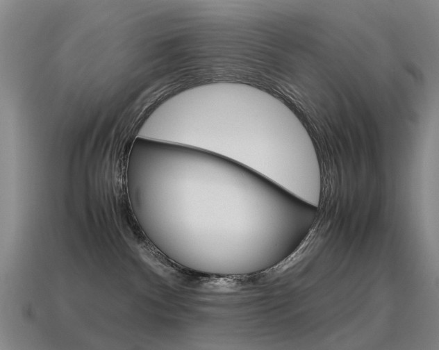 X0000115600140200911101000