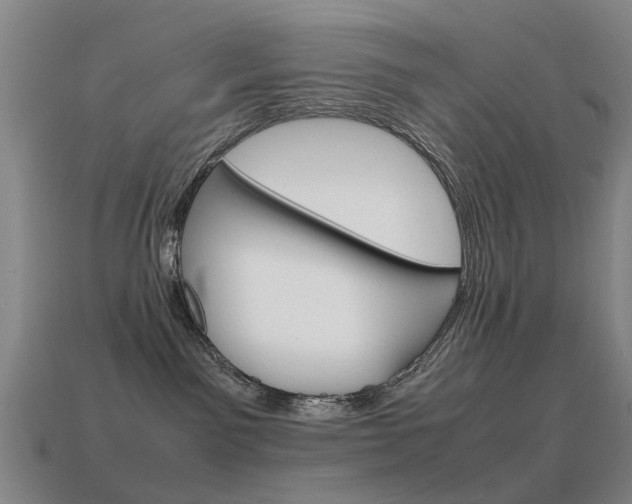 X0000115600141200911101000