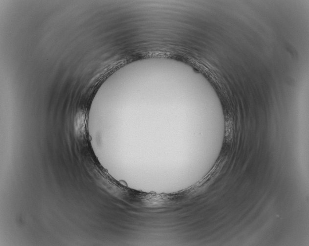 X0000115600142200911101000