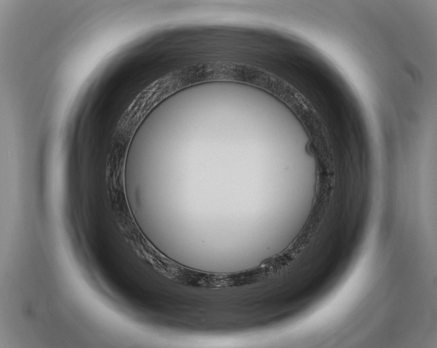 X0000115600143200911101000