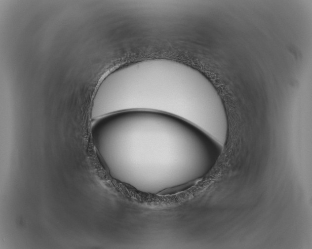 X0000115600144200911101000