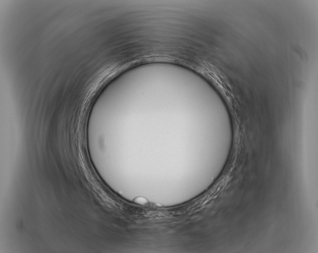 X0000115600145200911100959