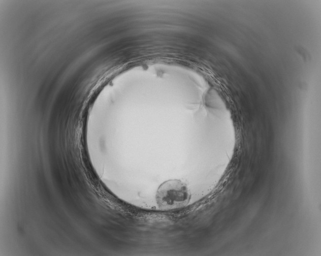 X0000115600146200911100959
