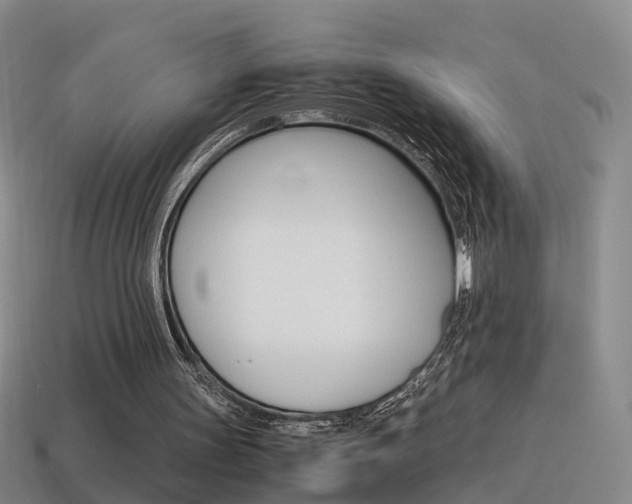 X0000115600147200911100959