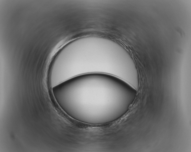 X0000115600150200911100959