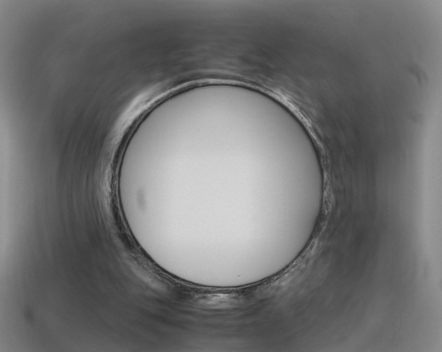 X0000115600151200911100959