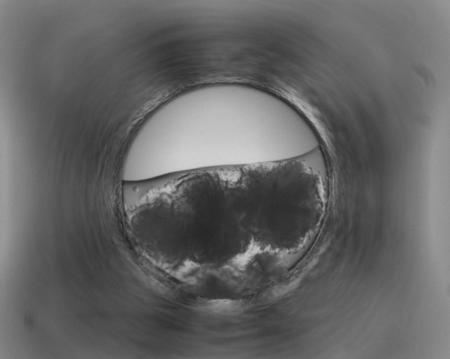 X0000115600153200911100959