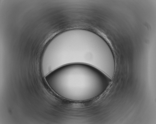 X0000115600154200911100959