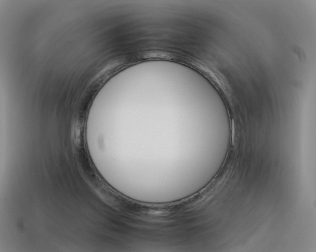 X0000115600157200911100959