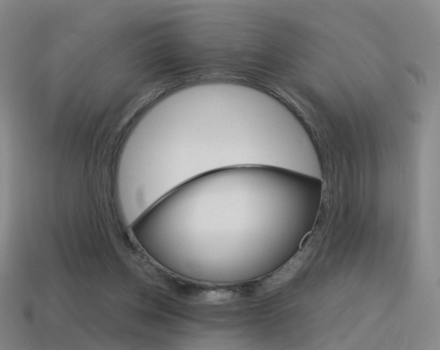 X0000115600158200911100959