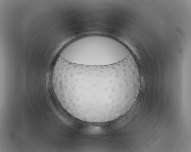 X0000115600159200911100959