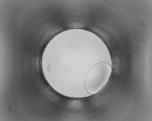 X0000115600162200911100959