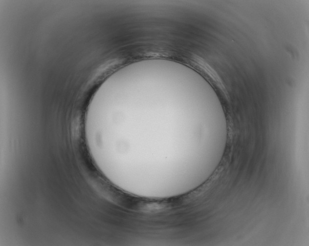 X0000115600163200911100959