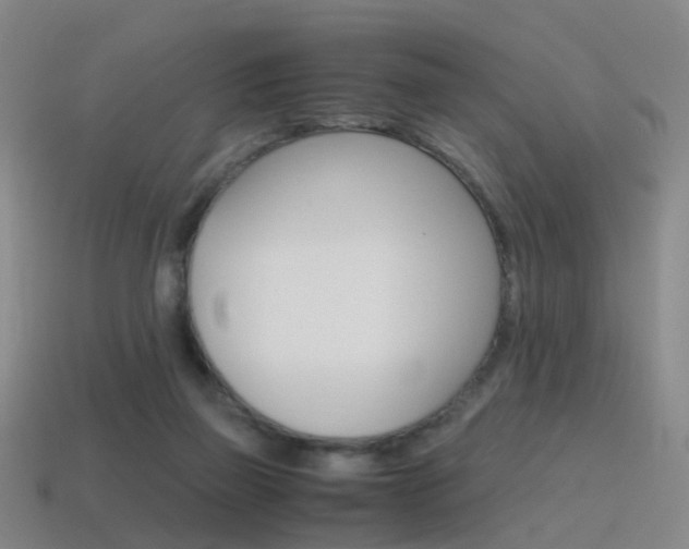 X0000115600165200911100959