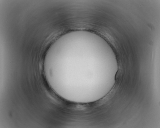 X0000115600166200911100959