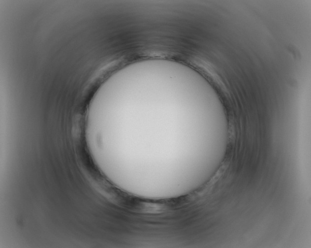 X0000115600167200911100959