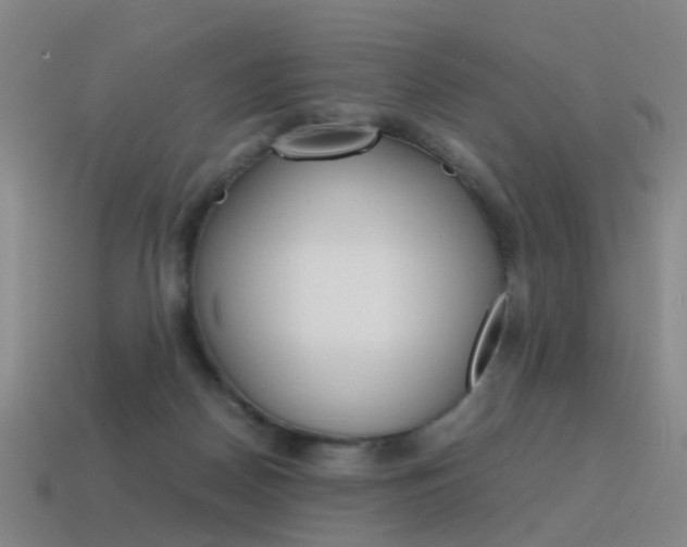 X0000115600170200911100959