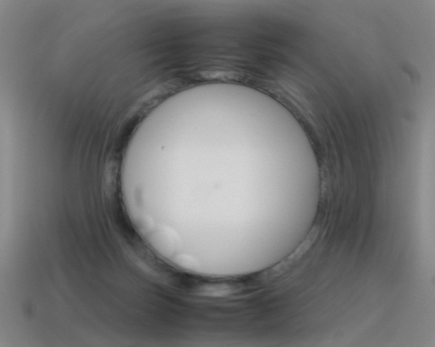 X0000115600171200911100959