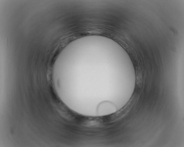 X0000115600175200911100959