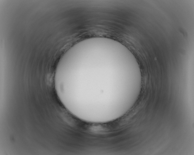 X0000115600177200911100959
